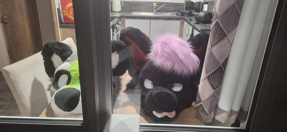 I arrived at <a href="/Furcationevent/">Furcation</a> yesterday to help get it ready for everyone hope everyone has a lovely furcation 2024 hope to see everyone around