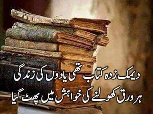 یادیں پھر بھی یاد رہتی ہیں