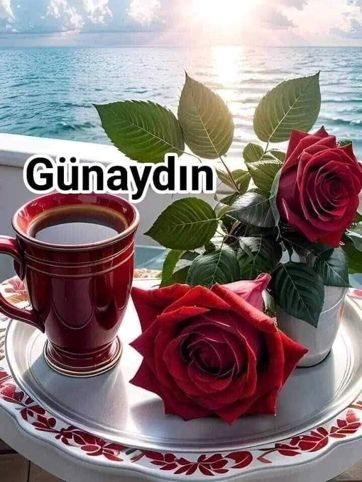 seversin (@glhanhan9) on Twitter photo 