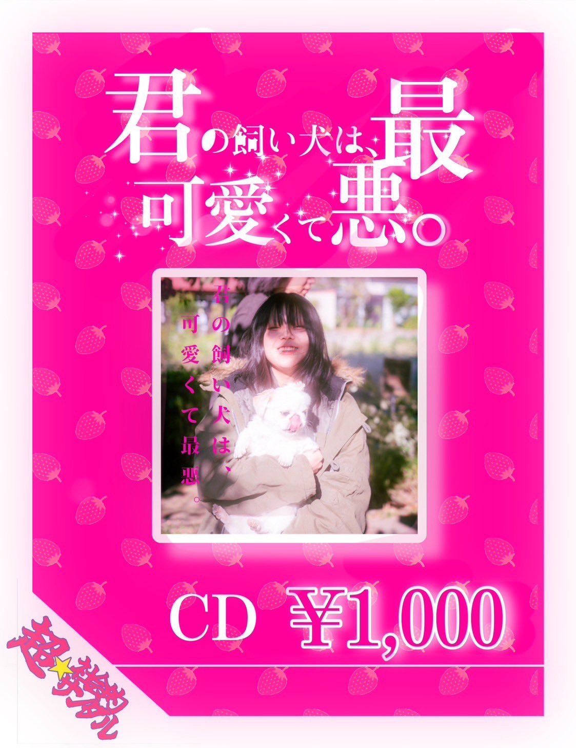 超☆社会的サンダル on X: 