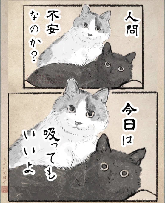慈悲だ。 