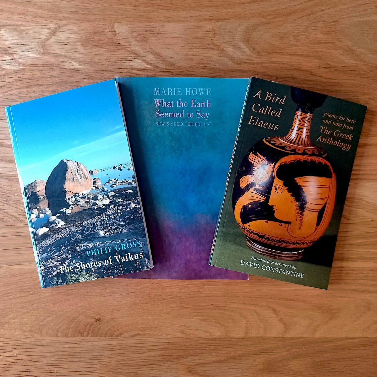 Today we are delighted to publish new books by <a href="/HoweMariehowe/">Marie Howe</a>, <a href="/philipgrossuk/">Philip Gross</a> &amp; #DavidConstantine

Find out more about all three titles and order copies on our website: bloodaxebooks.com/ecs/new_titles…