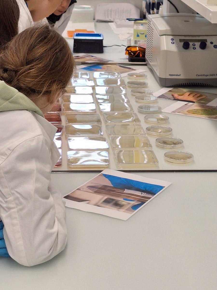 Microbiome Research (@sunagawalab) on Twitter photo Last week we hosted a group of schoolchildren in our lab to discover environmental microbes during the National Future Day <a href="/Zukunftstag/">Zukunftstag</a> at <a href="/ETH_en/">ETH Zurich</a>. We had a lot of fun isolating bacteria and fungi and studying them under the microscope Last week we hosted a group of schoolchildren in our lab to discover environmental microbes during the National Future Day <a href="/Zukunftstag/">Zukunftstag</a> at <a href="/ETH_en/">ETH Zurich</a>. We had a lot of fun isolating bacteria and fungi and studying them under the microscope