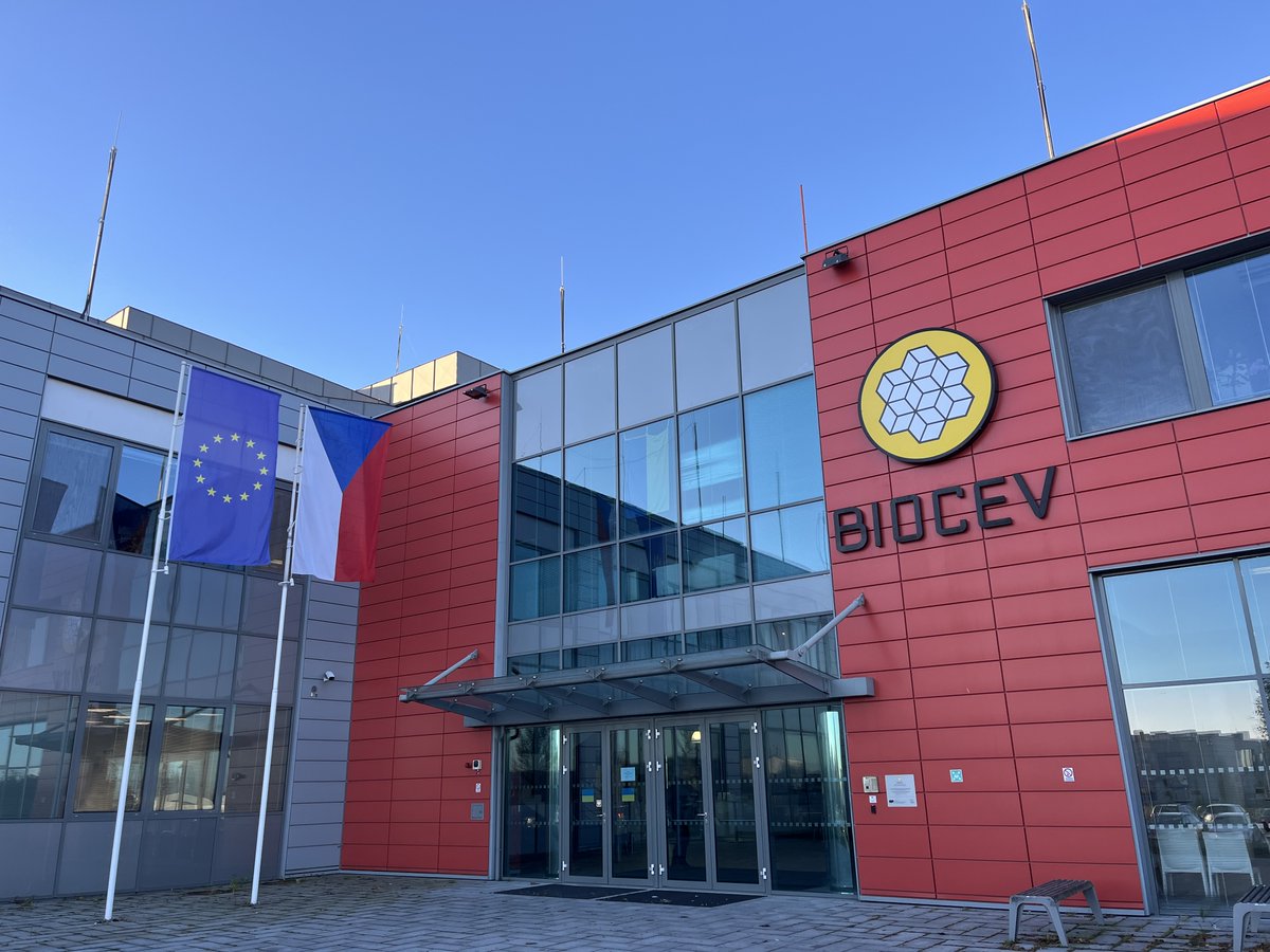 Claudia Alen Amaro tweet media