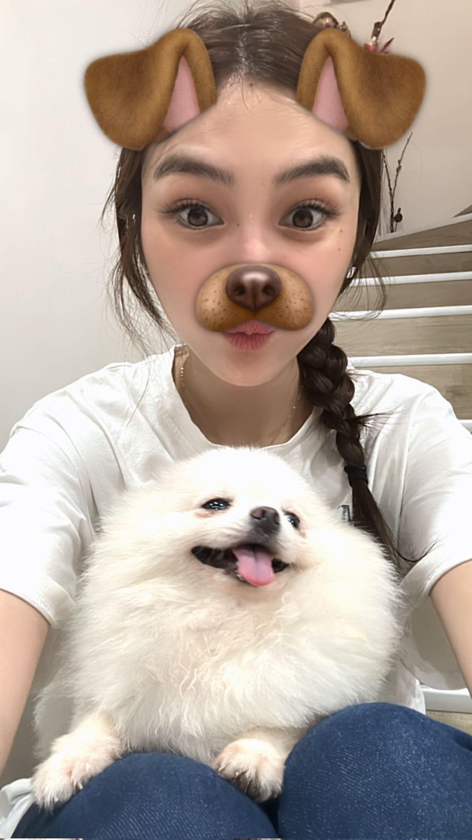 FranSethOFC__'s tweet photo. Too cute not to post 🐶

#FrancineDiaz | @francinecarreld https://t.co/mwsti1oYQB