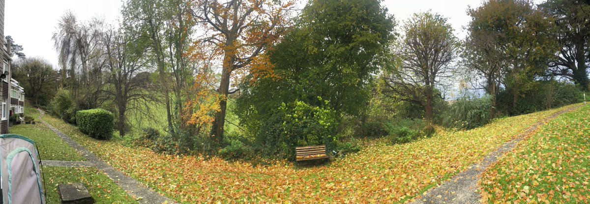 exeter_pics's tweet photo. @grocer_on_green @Our_Exeter https://t.co/zIRTw03gxa