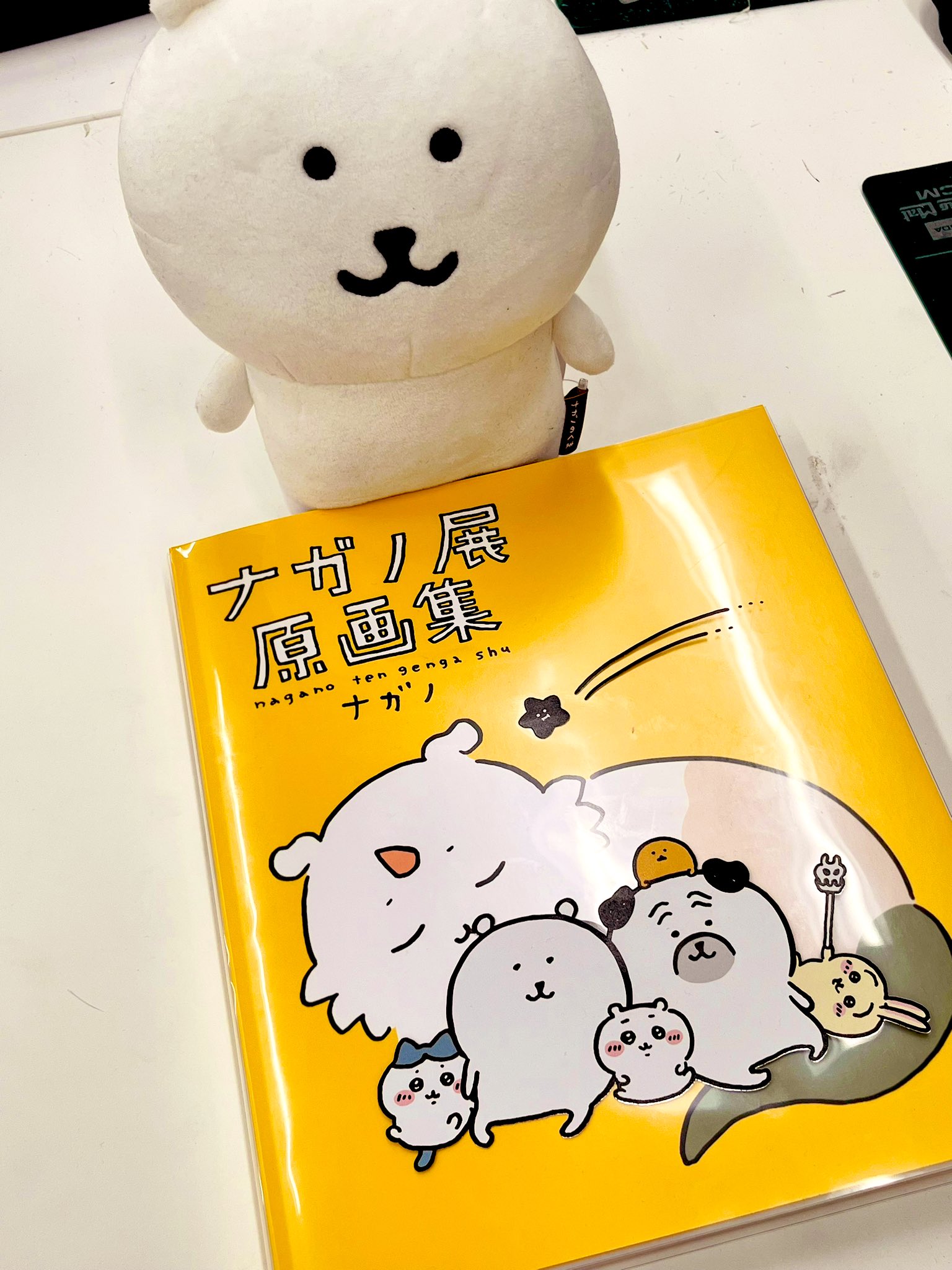ナガノワールドを味わいつくそう！】『ナガノ展 原画集