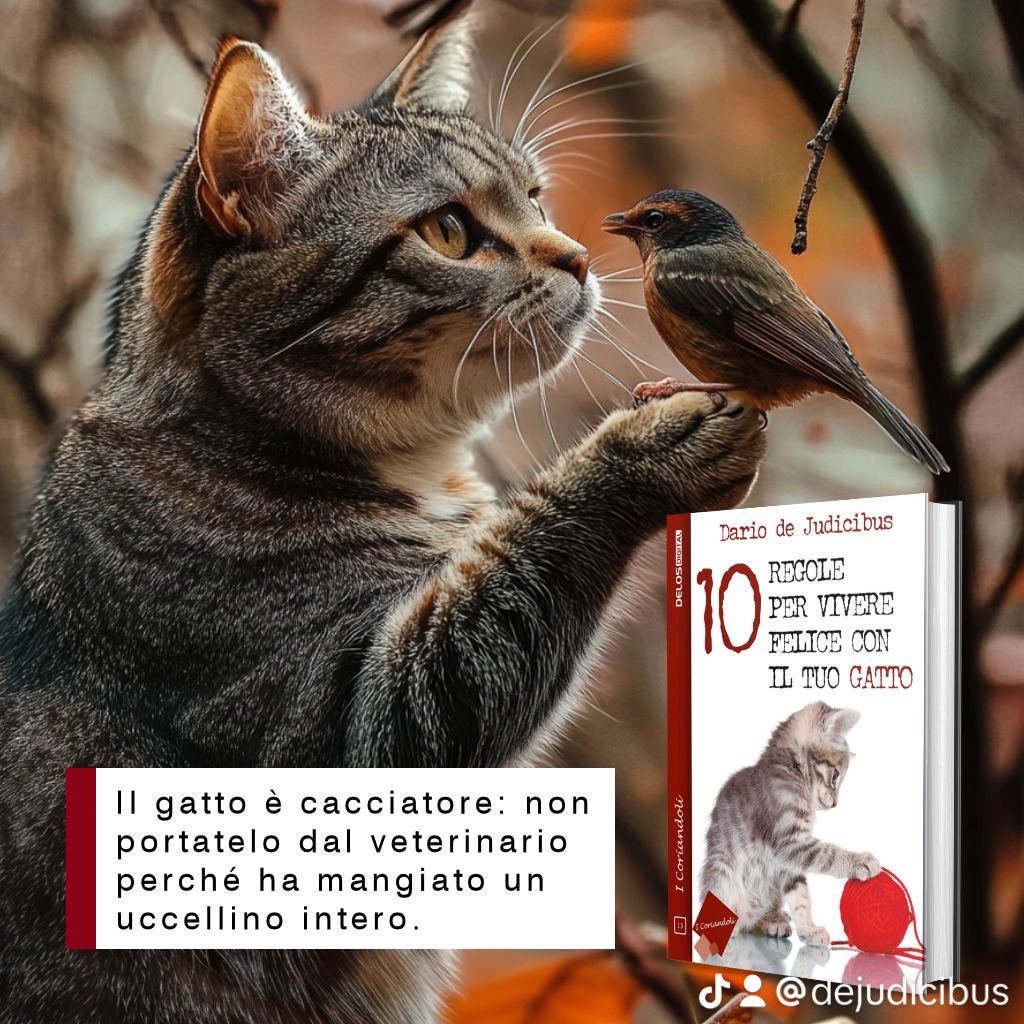 dejudicibus's tweet photo. Dario de Judicibus, «10 regole per vivere felici con il tuo gatto», «I Coriandoli», Delos Digital, 2016, ISBN 9788865309438
#saggistica #saggisticaitaliana #comunicazione #delosdigital #ddj #dejudicibus https://t.co/LHHP0YFcpw