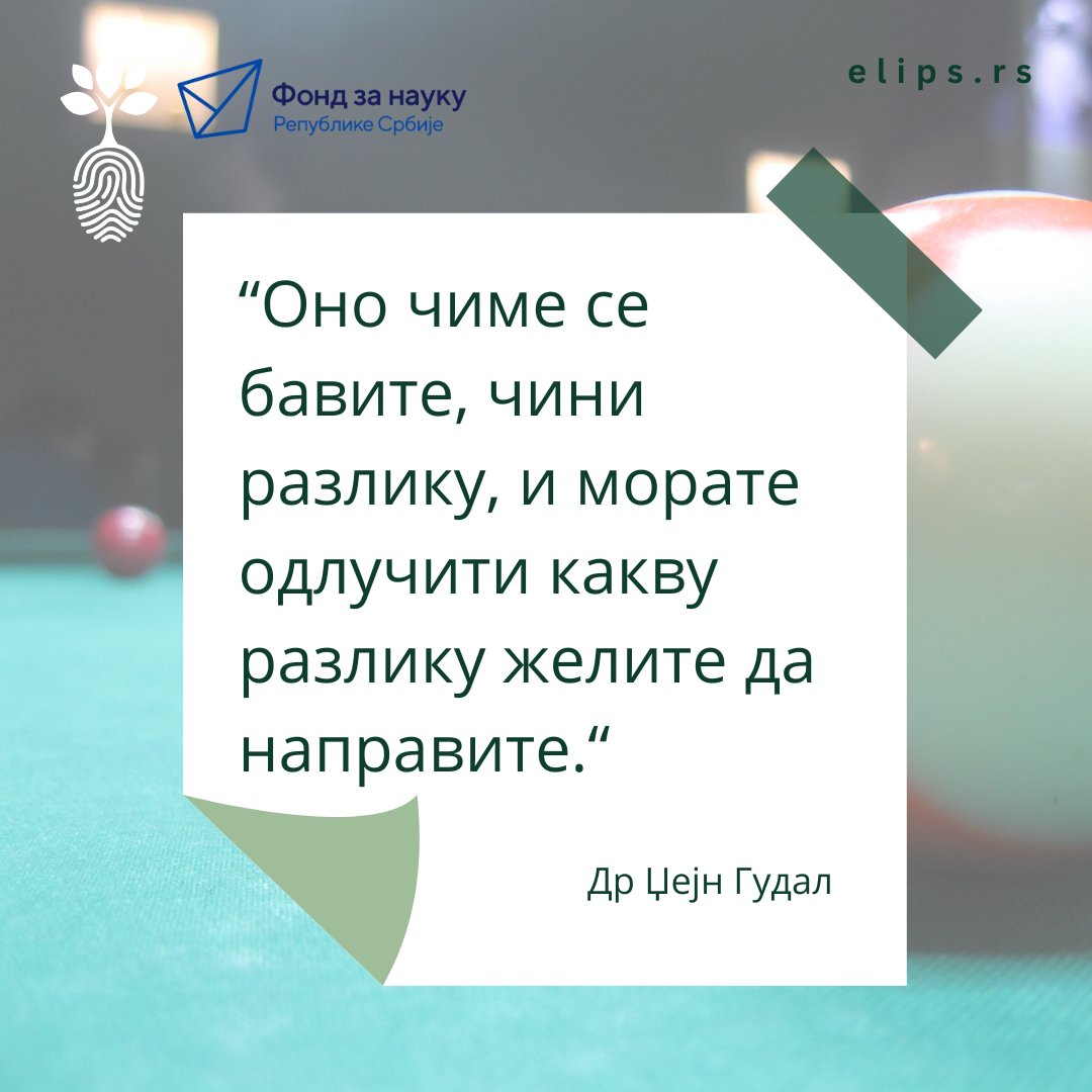 ELIPSProjekat's tweet photo. “What you do makes a difference, and you have to decide what kind of difference you want to make.”
Dr. Jane Goodall

#fondzanauku #ELIPS #programidentiteti https://t.co/3Qs0uTPEwu