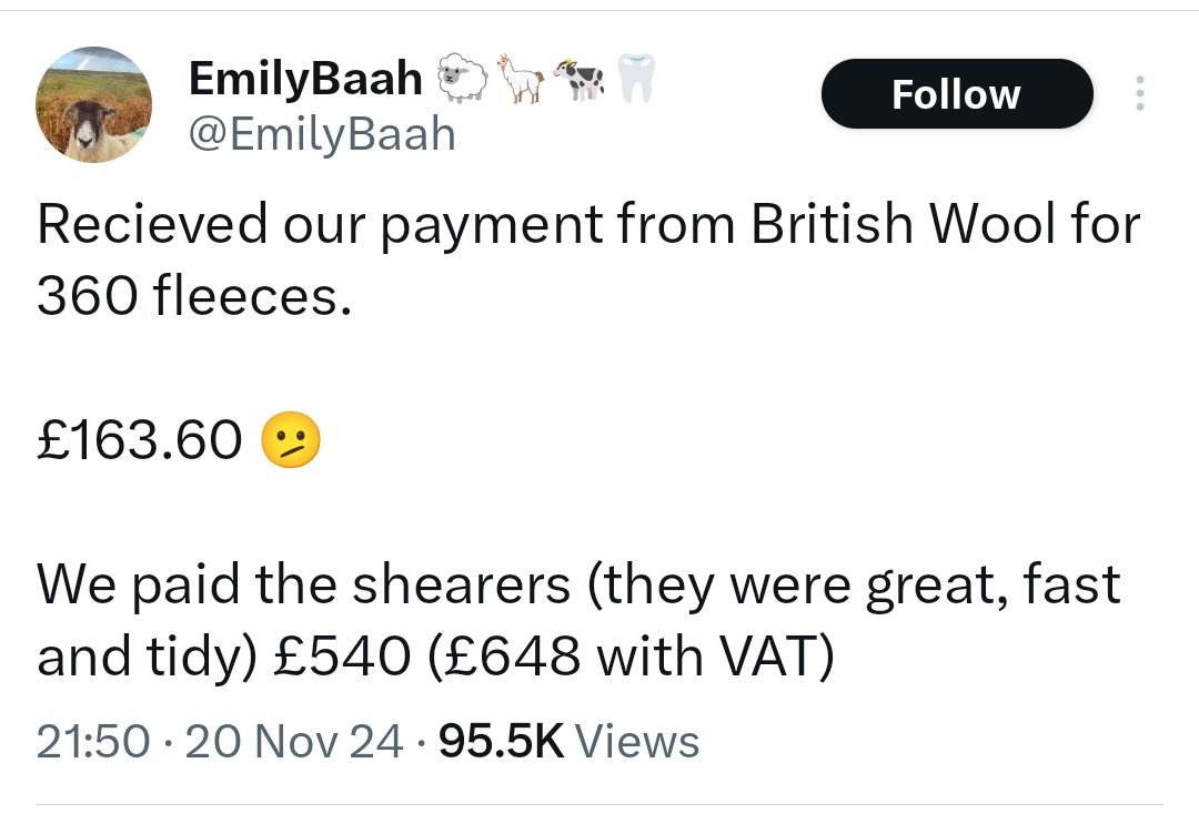Wool has been central to Britain's economy for thousands of years. It is enshrined in our constitution. The Lord Speaker of the House of Lords sits on a (tarted up) sack of wool to this day. So this is sad in lots of ways to lots of people. What should we do about it?