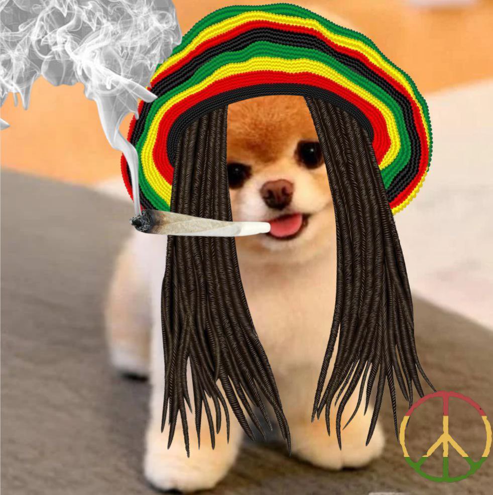 Zack Jandersit tweet media