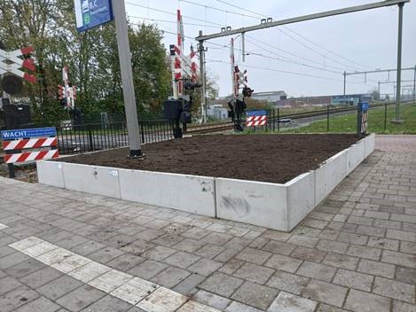 Aanleg van kleurrijke GreentoColour®-beplanting bij station Heerhugowaard! 🌱
In opdracht van NS hebben we vijf plantenbakken gevuld met duurzame beplanting in NS-kleuren. Een mooie stap naar een groener, gastvrijer stationsgebied. 💛💙 #GreentoColour #Duurzaamheid #Groen