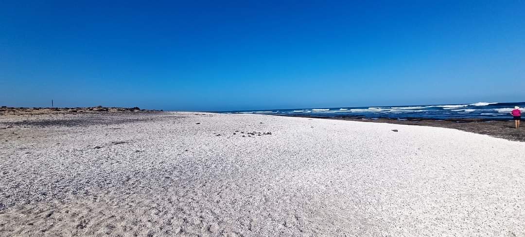 Daniel Wolters tweet media