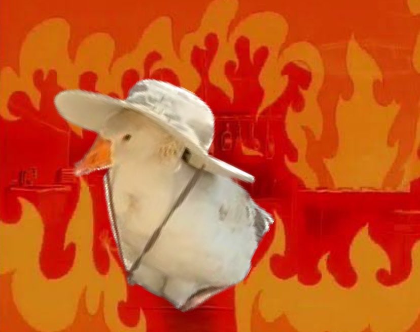 FUGGGGG IT BURNT ANOTHER 5% OF THE SUPPLY. GOOSE IS WILDIN 🪿🔥

cardanoscan.io/transaction/33…