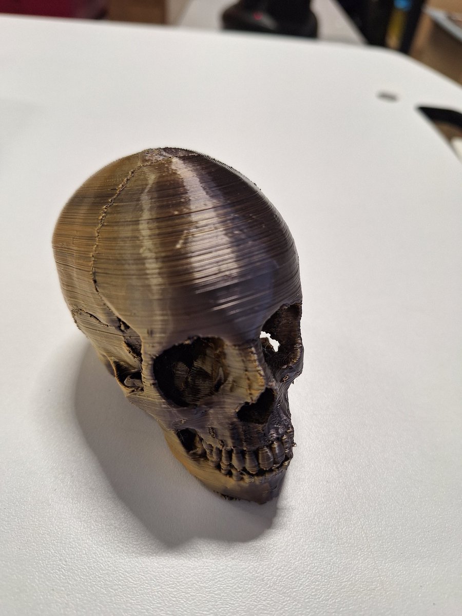 3d printed skull for the Science department 
<a href="/FinhamPark2/">Finham Park 2</a>
#crosscurriculum