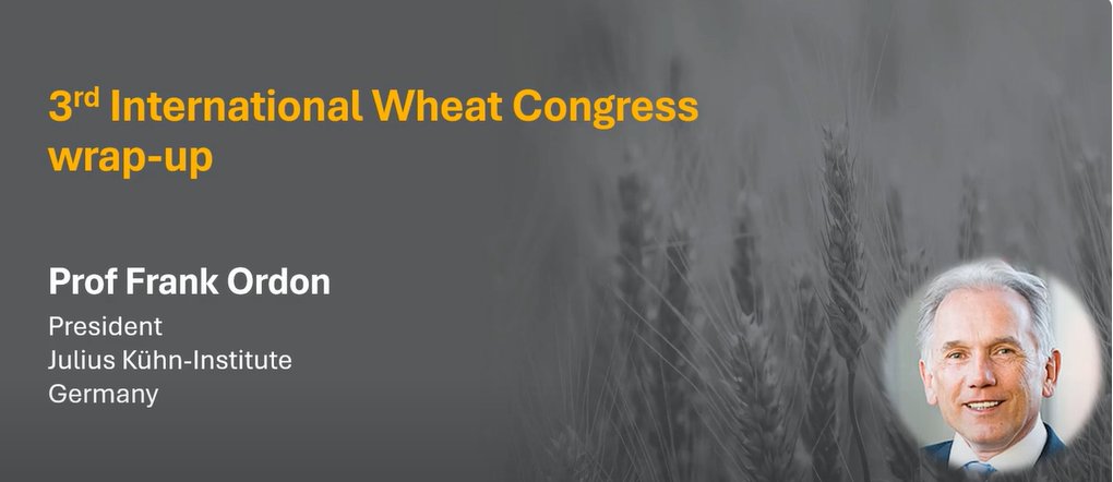 Murdoch's Centre for Crop & Food Innovation & SABC (@mu_ccfi_biotech) on Twitter photo Lovely to catch up with Prof Frank Ordon, President of <a href="/JKI_Bund/">Julius Kühn-Institut</a> and Chair of the <a href="/WheatInitiative/">Wheat Initiative</a> Research Committee.
Prof Ordon shared the key points of his presentation at #IWC2024Perth and touched on the key challenges facing European #wheat production.
Watch here: Lovely to catch up with Prof Frank Ordon, President of <a href="/JKI_Bund/">Julius Kühn-Institut</a> and Chair of the <a href="/WheatInitiative/">Wheat Initiative</a> Research Committee.
Prof Ordon shared the key points of his presentation at #IWC2024Perth and touched on the key challenges facing European #wheat production.
Watch here: