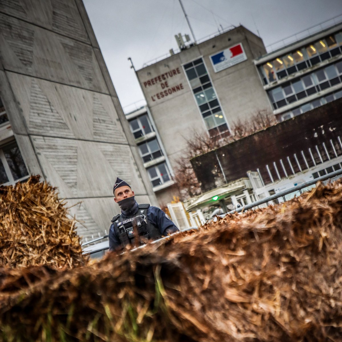 Thegood-Steph tweet media