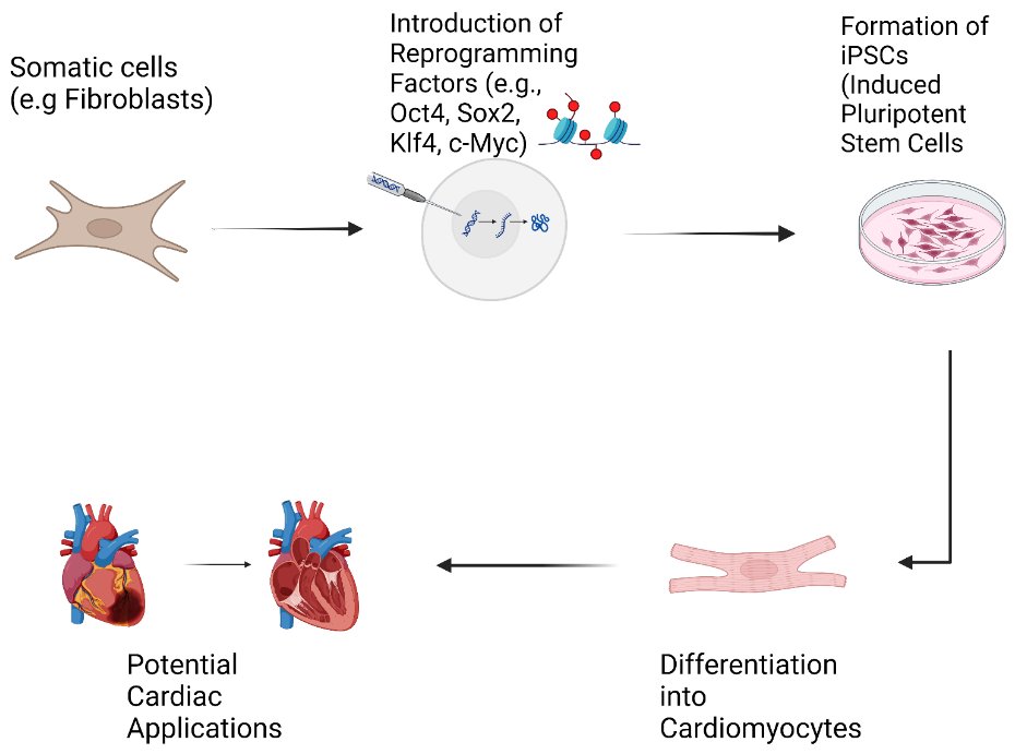 IFPG_Innovation's tweet photo. ✨Short Commentary
"Induced Pluripotent Stem Cells: A New Dawn for the Treatment of Ischemic Cardiomyopathy" by Sugiura T, Nawaz S, Ferrell BE, Yoshida T
⏬Read more here⏬
https://t.co/Wl7dhqsQOd https://t.co/LnqsuScC46