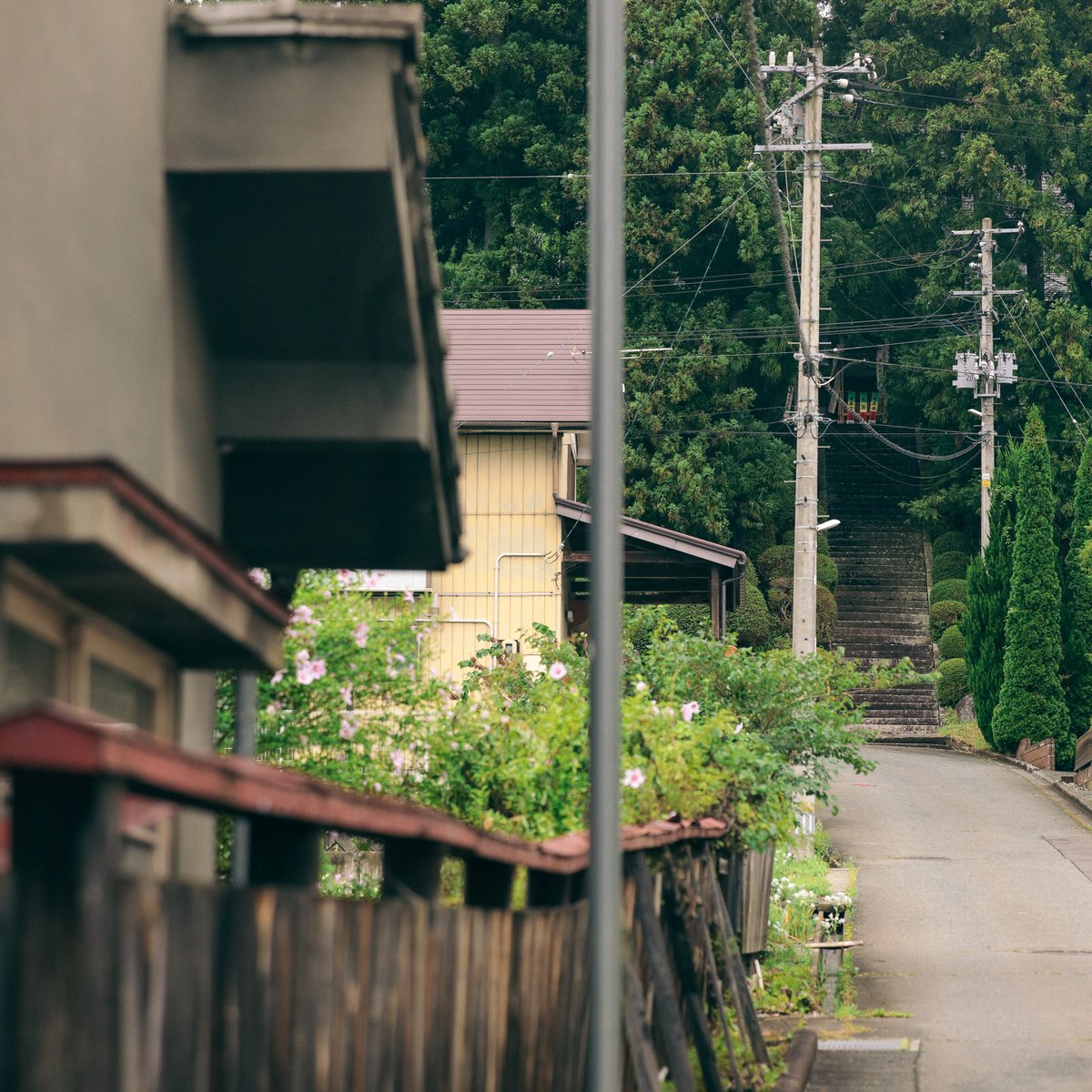 toratabix's tweet photo. 📍Miyamoricho,Iwate prefecture,Japan
 
    毎日一旅、ひとり旅。
    今日は岩手県、宮守町。
 
    🗾https://t.co/OGPHmDkj7N https://t.co/qpJ2tSSecm
