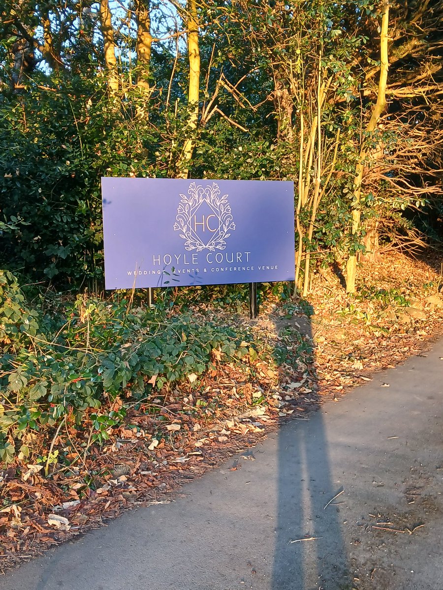 Hoyle Court tweet media