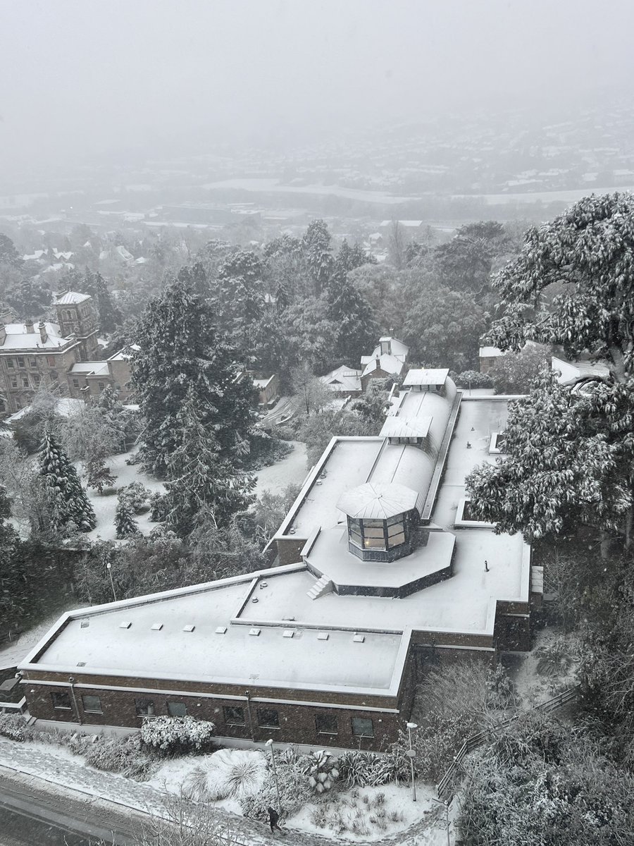 #LoveSnow <a href="/UniofExeterNews/">University of Exeter News</a> <a href="/UniofExeter/">University of Exeter</a> #ChristmasCards