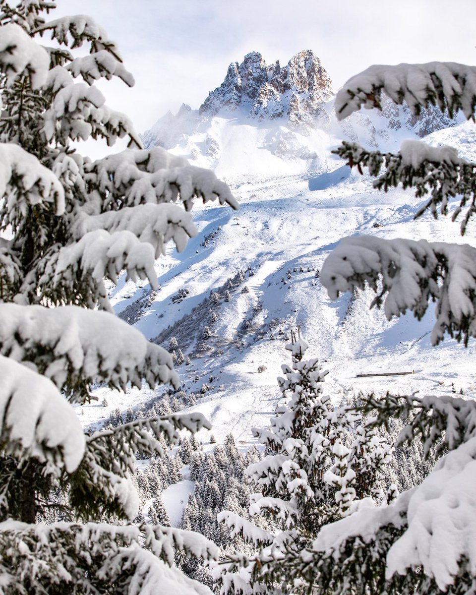 skimaxholidays's tweet photo. POV:📍Méribel, France is your winter escape destination. 

#skimaxholidays #skimax #skiing #snowboarding #meribel #skiingadventures #travel #winterfun #powderseason #snowtrip #wintervibes #explorepage #affordablevacation #snowboardingfun #france #skifrance #skimeribel https://t.co/69QoMmSRyI
