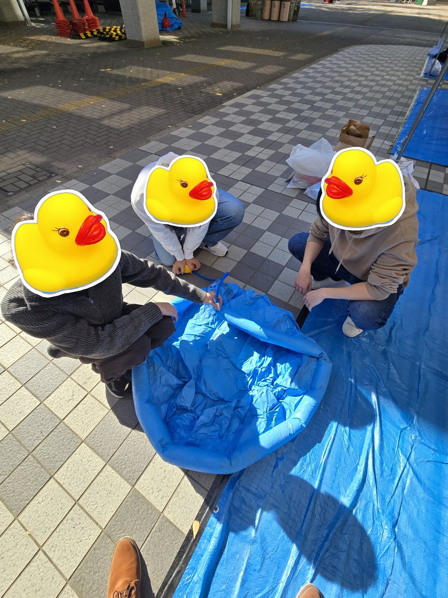 navinfo23's tweet photo. 明日から桃山祭です！
ももサポは今年もスーパーボールすくいを行います！🐥
アヒルやお菓子もあるので是非来てください！！ https://t.co/nTp56AjzVL