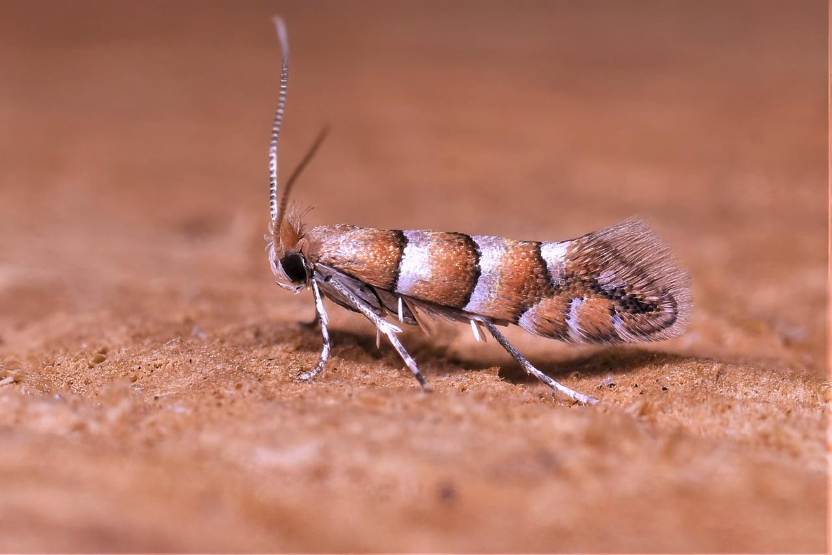 If you'd like to follow me where the sky is blue I'd love to see you there.
Same handle