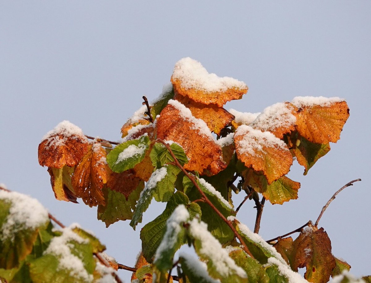 Goedemorgen, net even een #wandeling gemaakt, het was heerlijk buiten en er lag wat #sneeuw , de zon kwam er ook nog bij, fijne dag👋📷🌧️🥾😘
