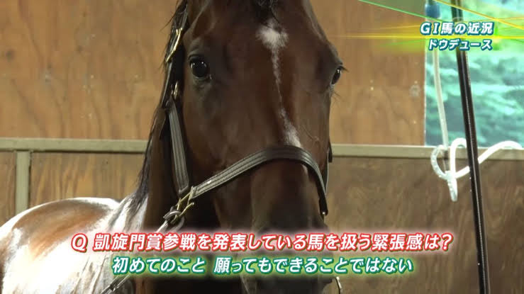 zakro3961's tweet photo. お馬さんは実際インタビューに答えてくれるしね。 https://t.co/qhFKOeBQ17