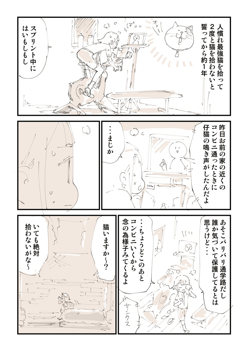 【閲覧注意】猫を拾って泣いてしまう話 6/13 