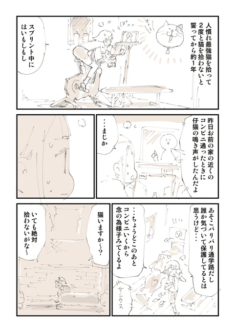 【閲覧注意】猫を拾って泣いてしまう話 6/13 