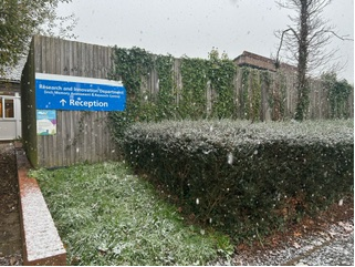 SHFT_Research's tweet image. It's Snowing !! Let's hope it's a white Christmas ❄️☃️
