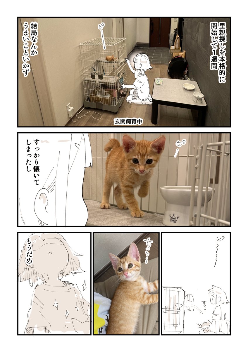 【閲覧注意】猫を拾って泣いてしまう話9/13 