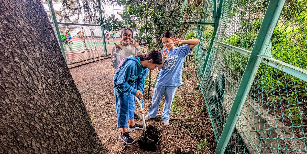 lfitokyo's tweet photo. 🌍 LE #LFITOKYO "ENTERRE" POUR LA #SCIENCE ! 🌱
Les 6èmes C et E participent au projet #EnterreTonSlip avec leurs professeurs pour #explorerlabiodiversité du sol et la #dégradationdesmatériaux.
Une #expérienceunique et ludique au service de la science👩🔬🪱
@aefeinfo
@fltfapee https://t.co/8Cme0NF0QN