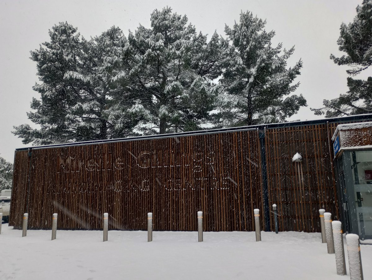 Mireille Gillings Neuroimaging Centre tweet media