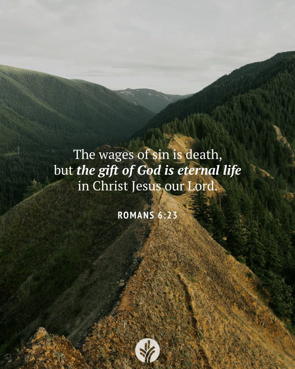 johnsonrn's tweet image. 