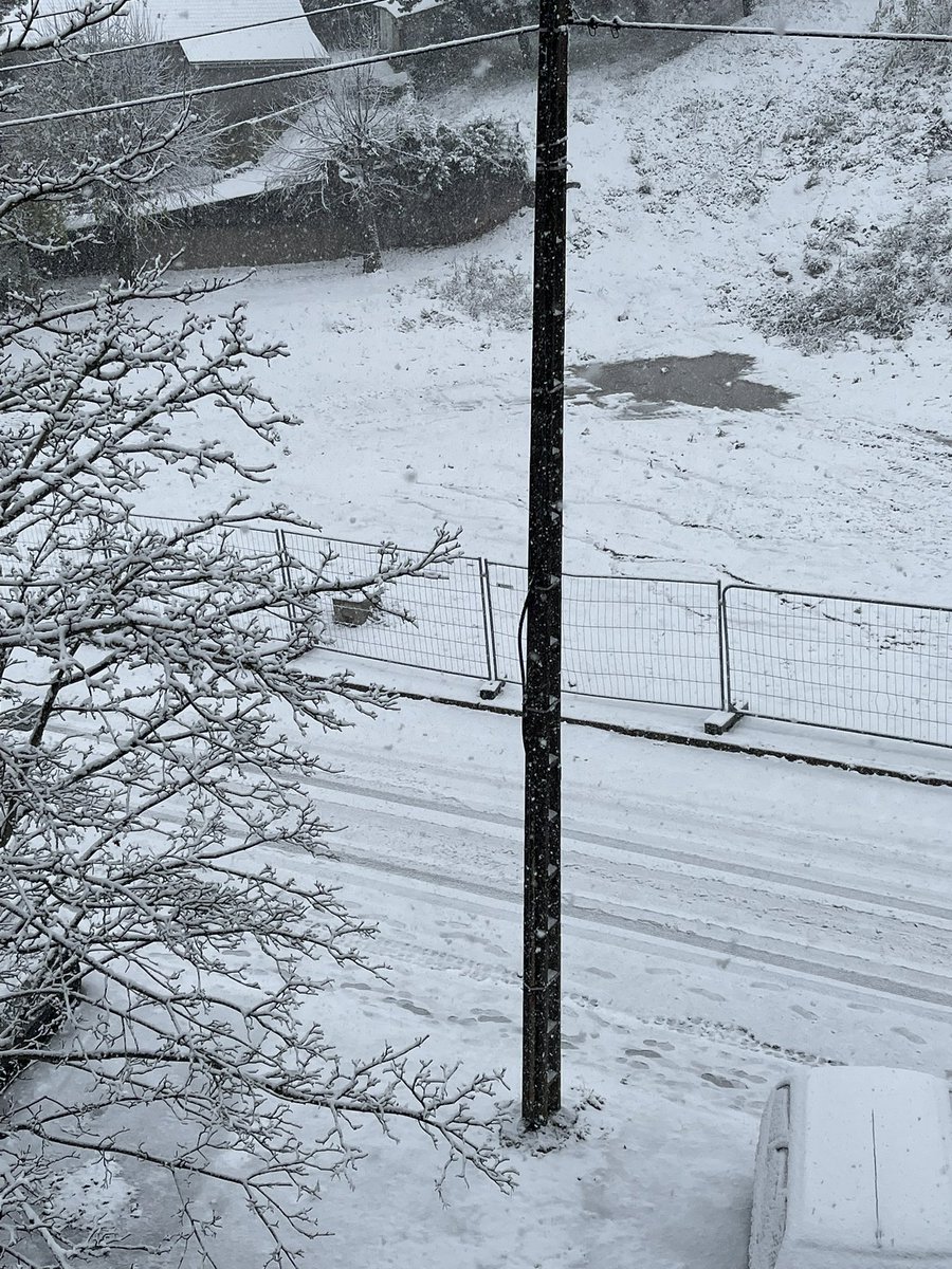 Guillaume tweet media