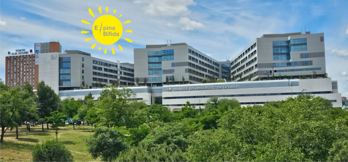 🗓 Hoy es el Día Nacional de la Espina Bífida, una malformación congénita que puede provocar graves daños.

El Hospital 12 de Octubre se suma a la iniciativa de <a href="/FEBHI_ORG/">FEBHI</a>, en apoyo de las personas que nacen con esta enfermedad, pintando un sol amarillo en su cielo. 

#somosdel12