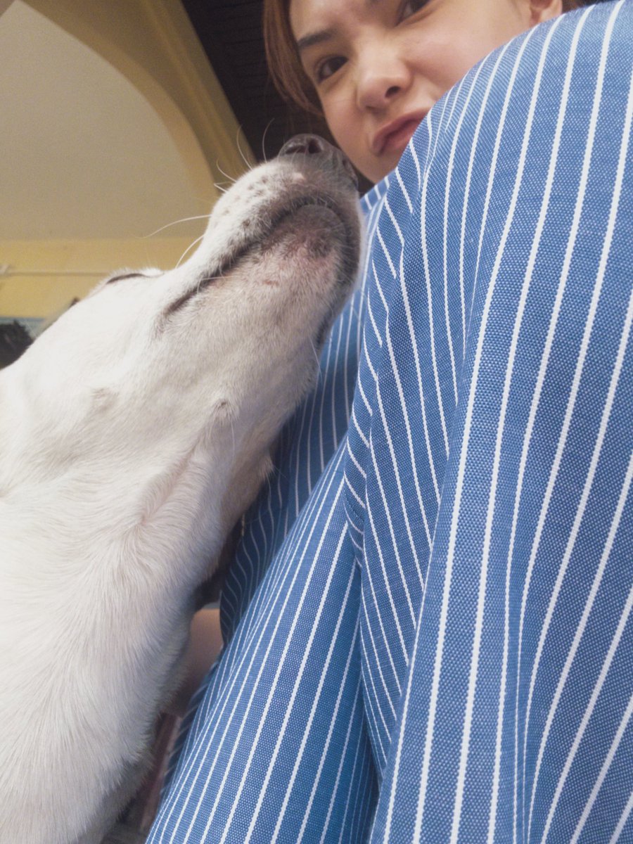 sonyasarann's tweet photo. yours ever 🐾🐕🦴 https://t.co/2sSmp1rYJN