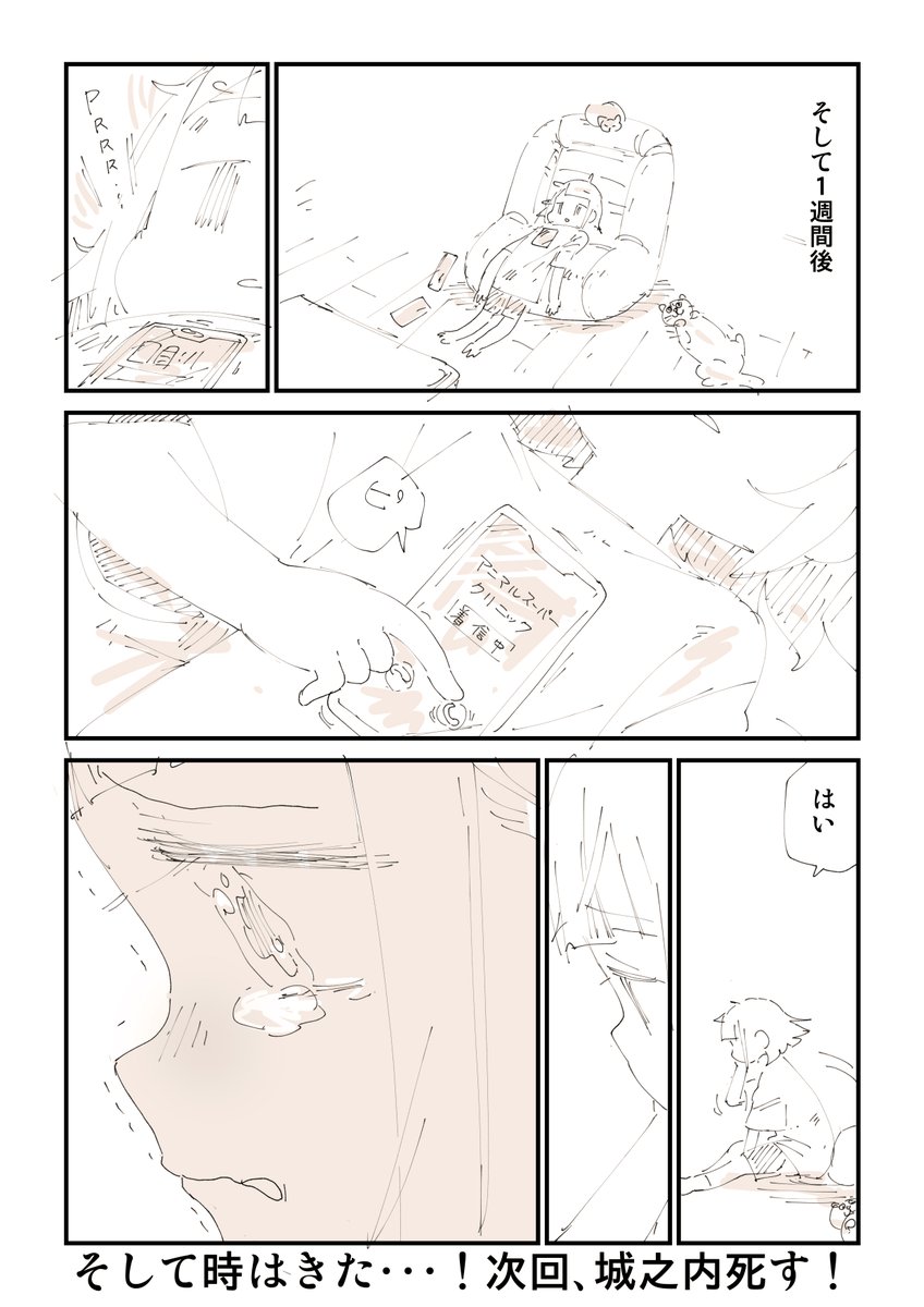 【閲覧注意】 猫を拾って泣いてしまう話 12/13 