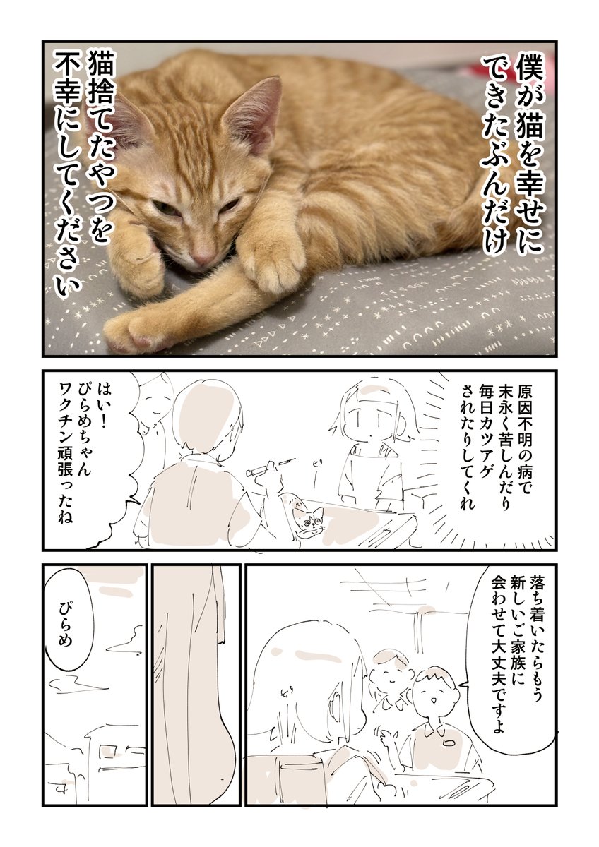 【閲覧注意】猫を拾って泣いてしまう話 13/13 