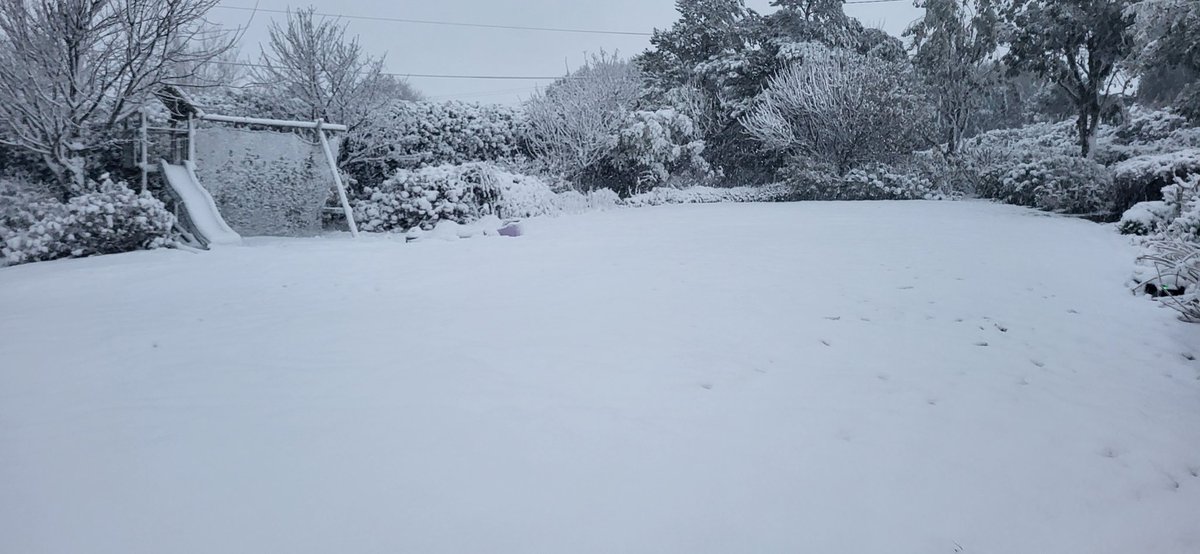 stevo_paul's tweet photo. @CarlowWeather https://t.co/IFWjDii6TX