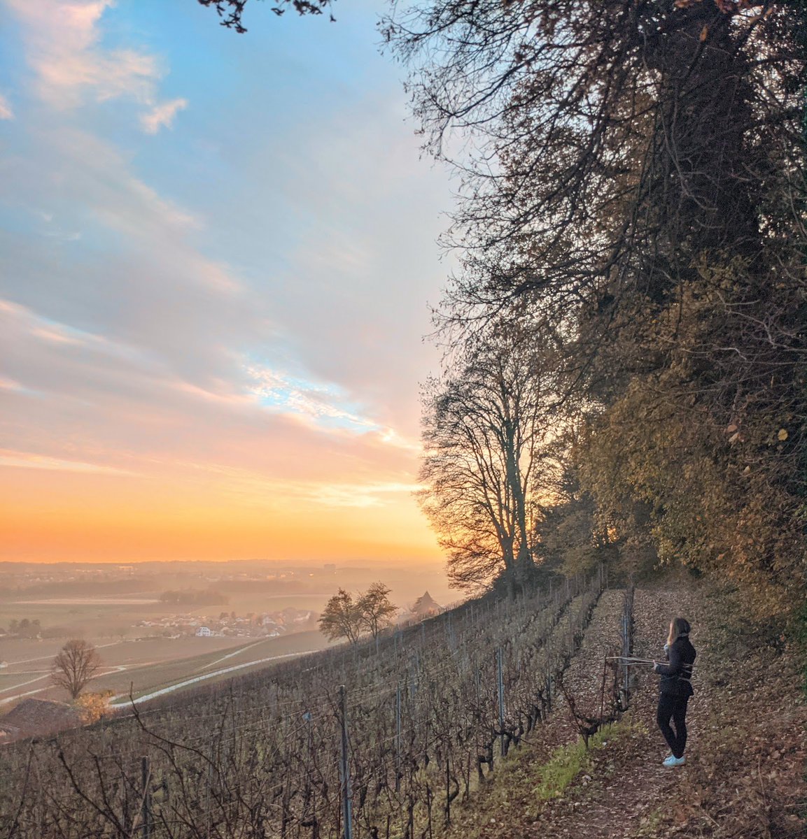 stackhodler's tweet image. What you're seeing with MicroStrategy is just the beginning.

This is way bigger than just a massive MSTR pump.

Saylor is making it brutally obvious that you either buy Bitcoin, or you fall behind.

And this could be the tumbling domino that leads to hyper-Bitcoinization.

The…