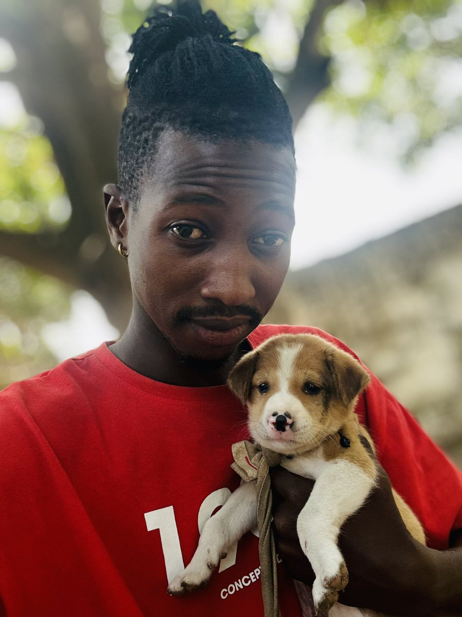 Let’s consider animals too and care them!!!!  🐶