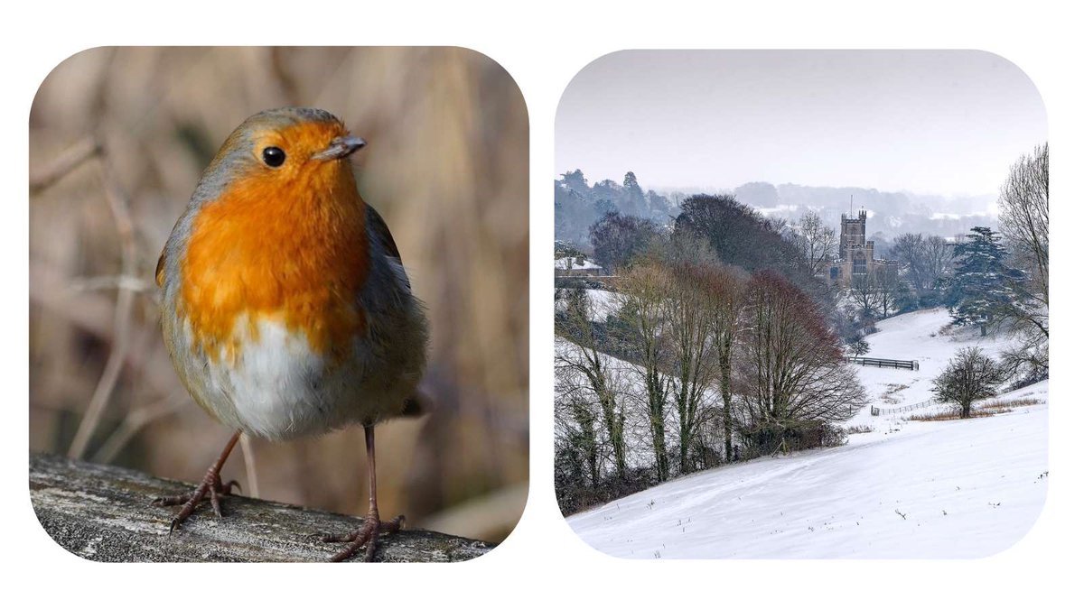 Is this frosty weather turning your thoughts to Christmas? 
Got your cards yet?  We have some lovely ones for sale! 
#christmascards #frost 
cpresomerset.org.uk/buy-our-christ…

photos by Catherine Anderson &amp; Jeff Hutson