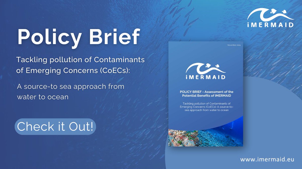 iMERMAID 🇪🇺 tweet media