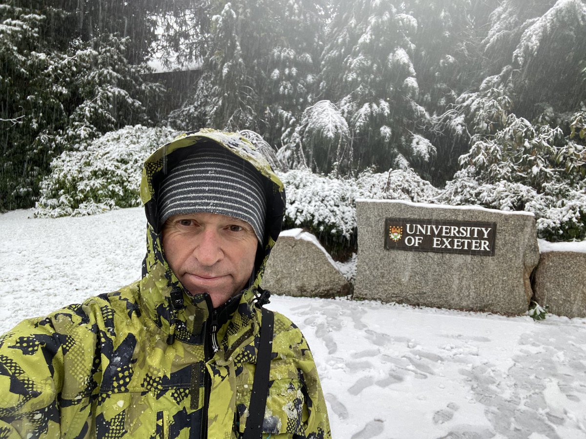 Mat Collins tweet media