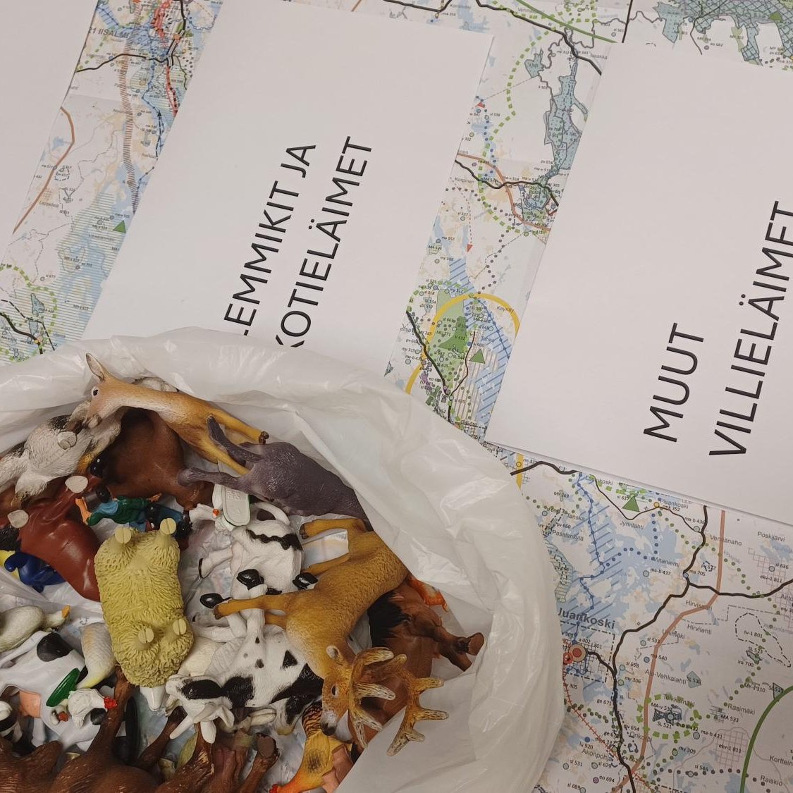 Kaikki valmiina huomista #lapsettöissä -päivää varten! Meillä väritetään Pohjois-Savon kalahahmoa, suunnitellaan lasten maakuntakaavaa ja lajitellaan pehmoeläimiä direktiivilajeihin, muihin eläimiin ja kotieläimiin. Erilainen työpäivä tulossa myös meille aikuisille!