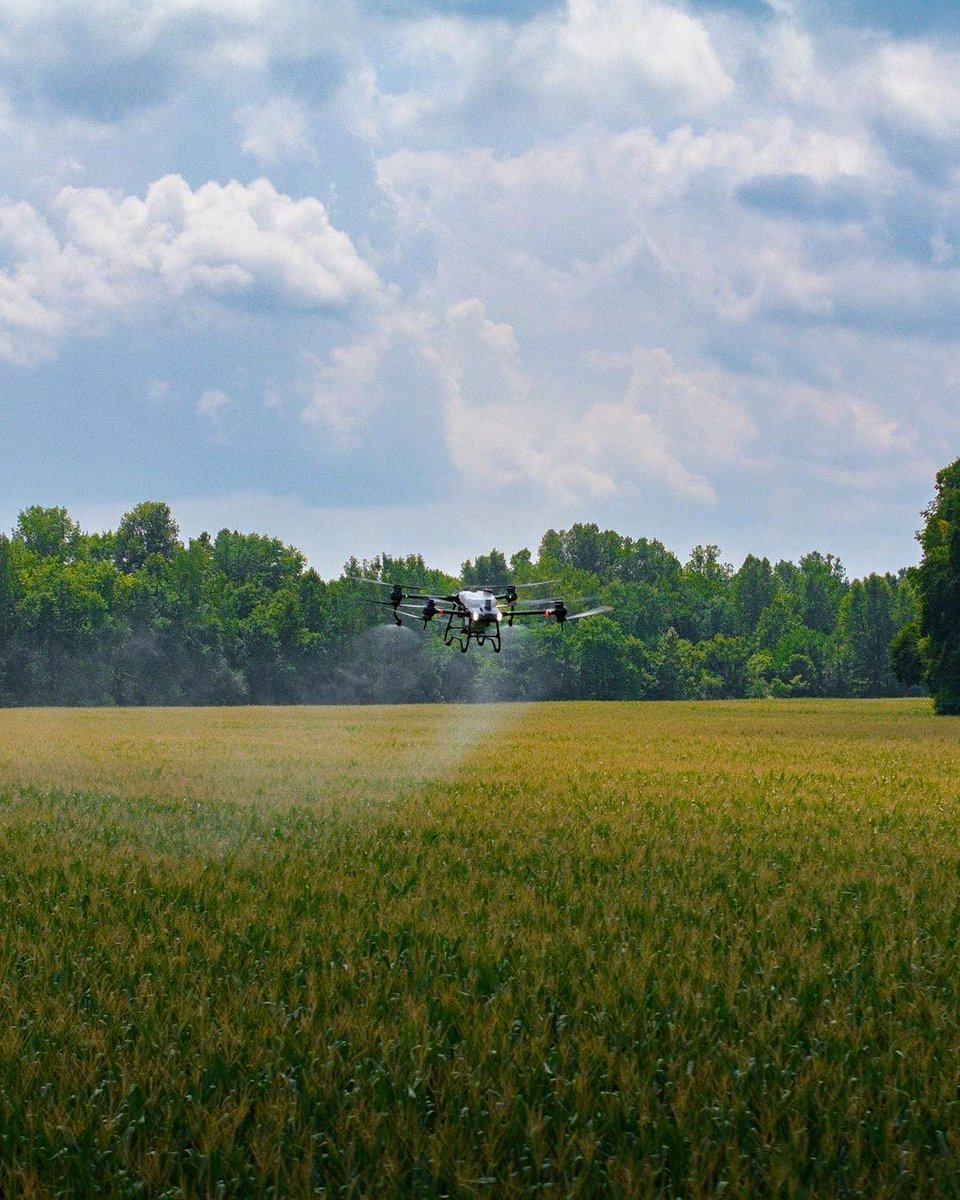 AgricDrones2023's tweet image. Our drones cover large tracks of land in record time, ensuring every inch gets the care it deserves. 🚁🌱✨ 
#Dronefarming #Agritech #agriculture #DroneTechnology #CropCare #spraying #agribusiness #ADL